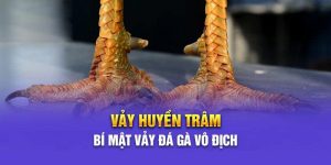 vảy gà huyền trâm