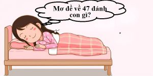 mơ đề về 47 đánh con gì